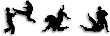 http://wedgwoodtkd.com/wp-content/uploads/2012/11/hapkido-throw-silhouette.jpeg